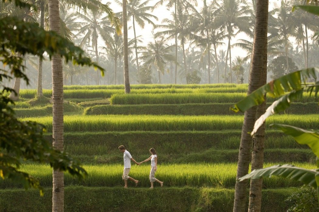 Resort Kamandalu 5*